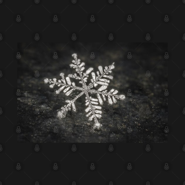 Freshly Fallen Snow Flake. Macro Photography by love-fi