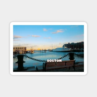 Boston city tiver view Magnet