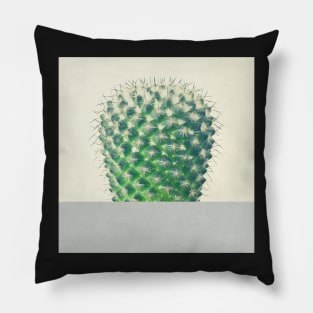 Cactus Dip Pillow