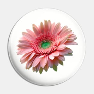 Pink Flower Pin