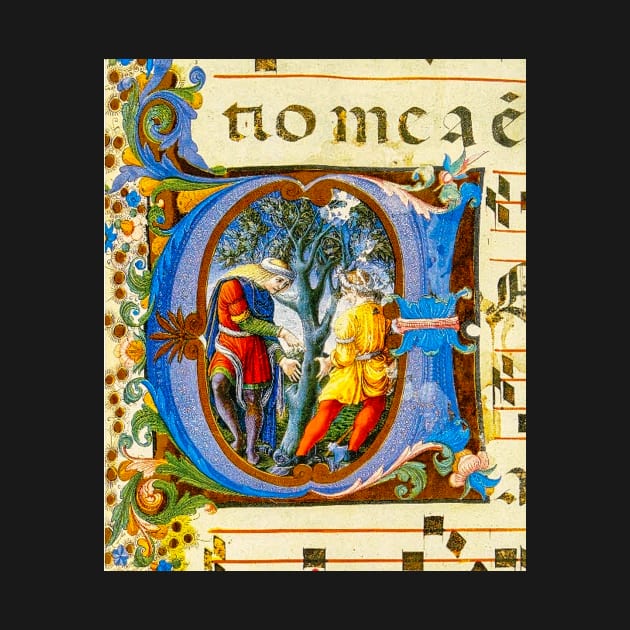 Exquisite Illumination from an Ancient Manuscript by Accolade Designs