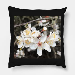 Tender Blooming Springtime in the Forest Pillow