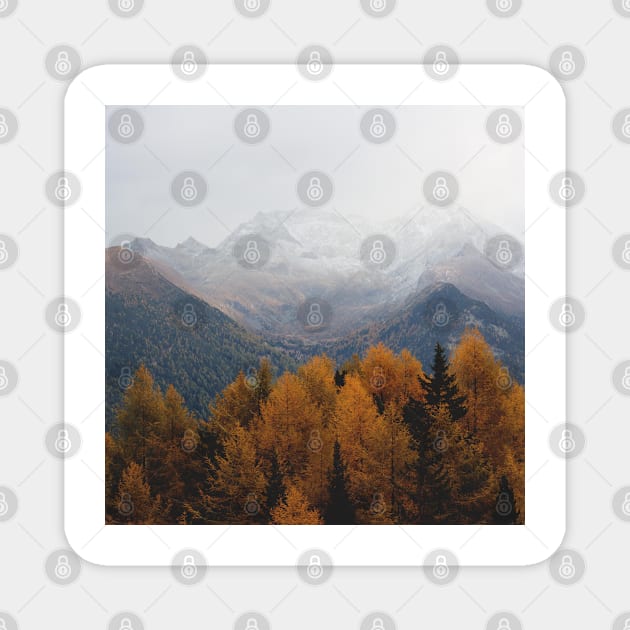 Autumn Trees Magnet by ArtoTee