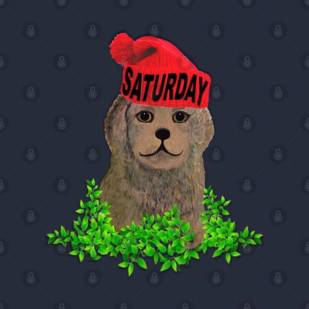 Saturday Mood Beanie Puppy by KC Morcom aka KCM Gems n Bling aka KCM Inspirations