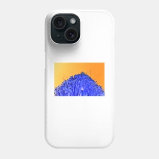 the beauty in the grass ecopop landscape of oaxaca photograph collage Phone Case