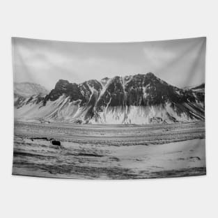 Landscape in Black and White (Mountain) Tapestry