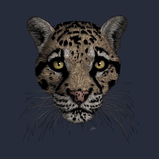 Clouded Leopard by Walking in Nature