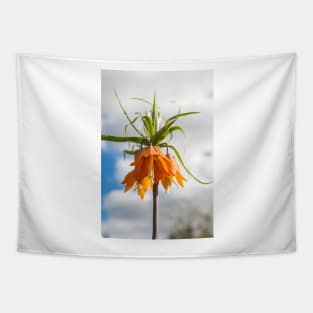 Orange flower against blue sky Tapestry