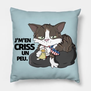 J'm'en criss un peu Pillow