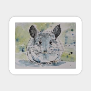 Chinchilla portrait. Magnet