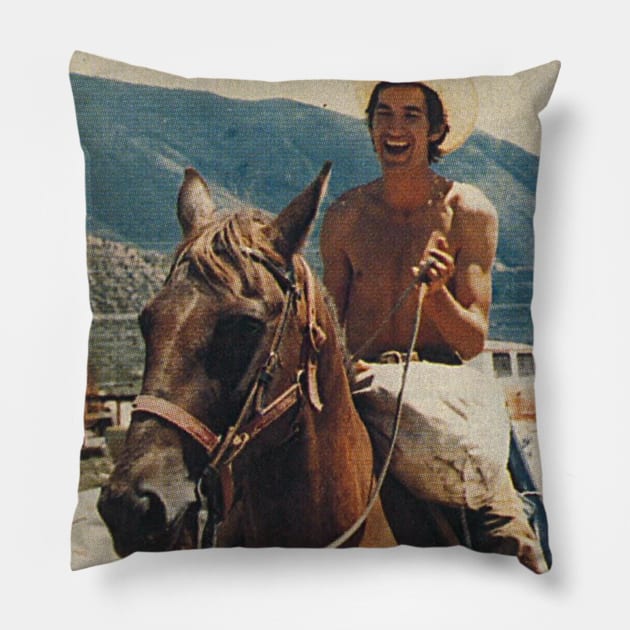 Townes Van Zandt - Retro On Horse Fan Art Pillow by darklordpug