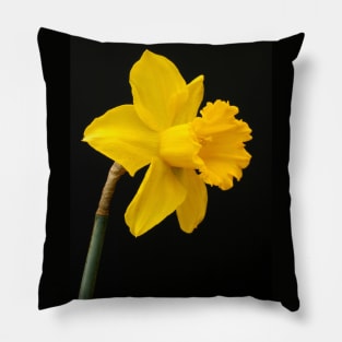 Daffodil Pillow