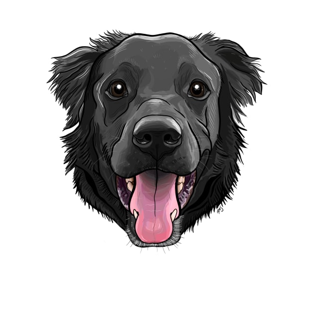 Border Collie Mix by ams_art