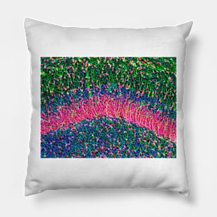 Hippocampus brain tissue (P360/0475) Pillow