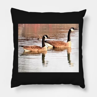 Canada Geese Pair No.2 Pillow
