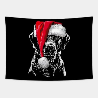 Santa Chesapeake Bay Retriever Christmas dog Tapestry