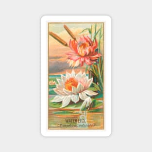 Waterlily Magnet