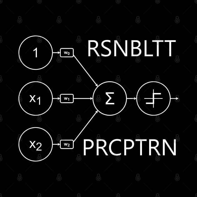 ROSENBLATT PERCEPTRON by Decamega