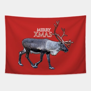 Santa Claus Reindeer Tapestry