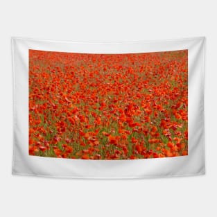 Poppy field Tapestry