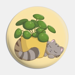 Cat With Pilea Plant Pin
