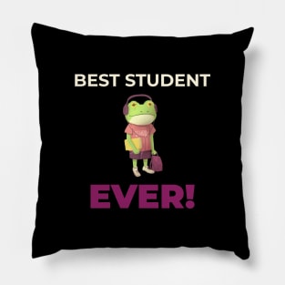 Best Student Ever Pillow