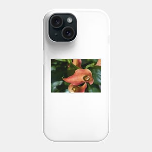 Red calla flowers closeup Phone Case