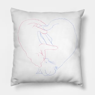 Heart Shaped Cat Cuddles Pillow