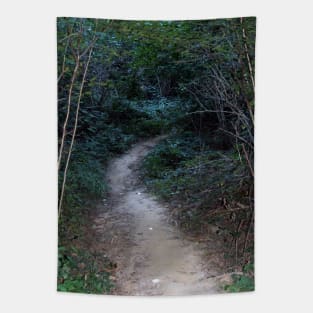 forest Tapestry