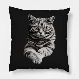 You asleep yet? A Funny sneaky cat Gift Idea Pillow