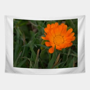 ebs orange poppy Tapestry