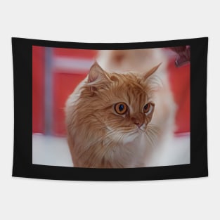 Why ginger cat are so special? Tapestry