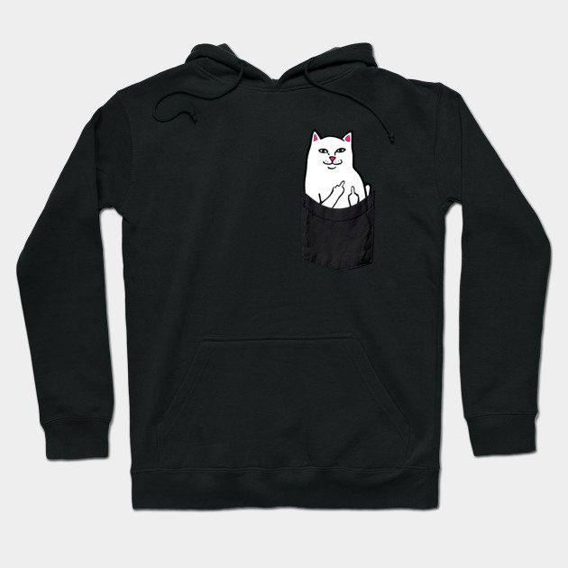 cat in sweatshirt