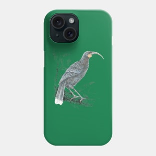 Huia, Native bird of New Zealand Phone Case