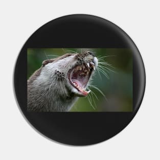 Don`t Mess With The Otter Pin