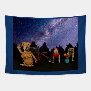 Phone Home Tapestry