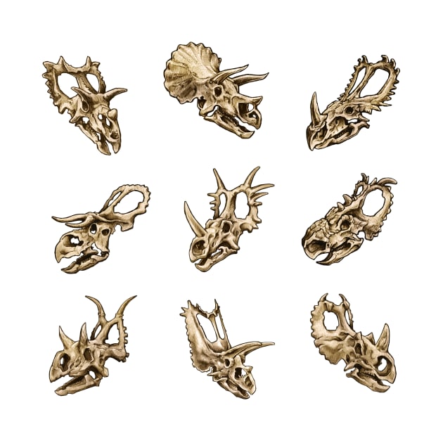 Dinosaur Skull Sticker Set Ceratopsia by CassWArt