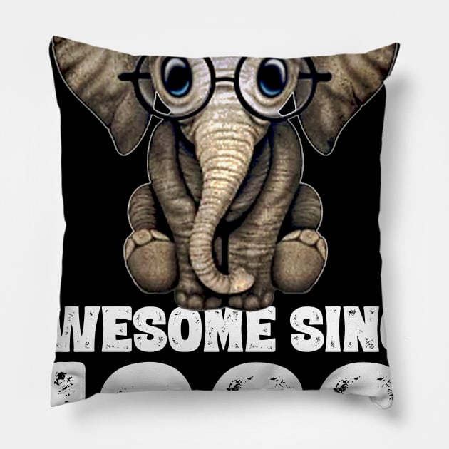 Awesome since 1966 54 Years Old Bday Gift 54th Birthday Pillow by DoorTees