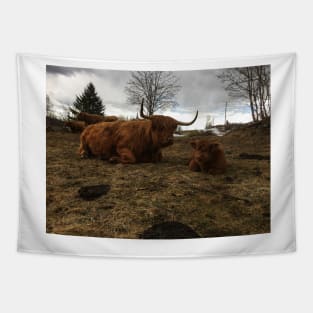 Scottish Highland Cattle Cow and Calf 1749 Tapestry