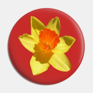 Large Bright and Colorful Spring Daffodil Vector Art Cut Out Pin