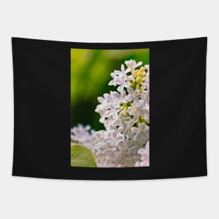 White Lilac Flowers Tapestry