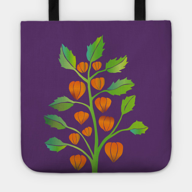 Physalis vector