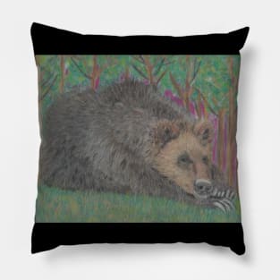 Brown bear Pillow