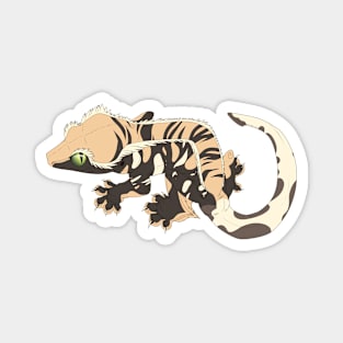 Harlequin Crested Gecko Magnet