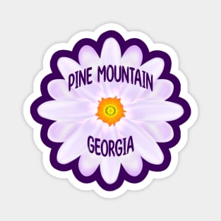 Pine Mountain Georgia Magnet