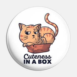 Cuteness In A Box Funny Cat Gift Pin