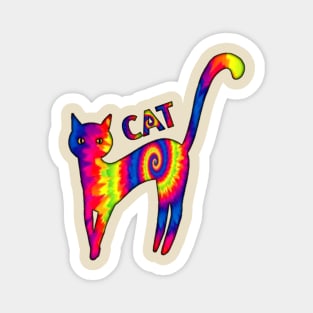 Tie Dye Cat Modelling Magnet