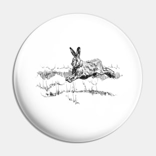 Hare Ink Drawing Pin