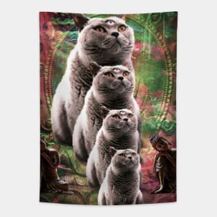 Cute Funny Buddha Cat - Third Eye Cat Tapestry