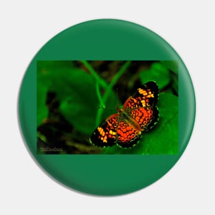 Butterfly Visit Pin